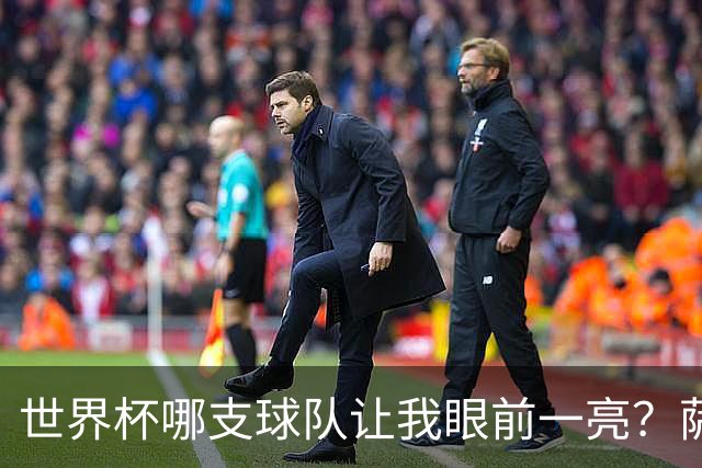 世界杯哪支球队让我眼前一亮？萨内蒂：日本和摩洛哥绝对是代表